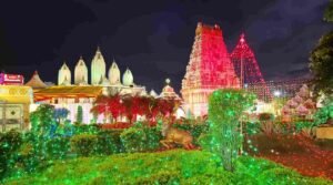 श्रीकृष्ण जन्मोत्सव का तात्त्विक मर्म ही जीवात्मा से परमात्मा का मिलन:: स्वामी पुरुषोत्तमाचार्य जी महाराज